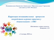 Презентация по теме: Коррекция познавательных процессов посредством игровых приемов у дошкольников с ОВЗ