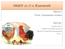 Домашние птицы для 1 младшей группы детского сада.
