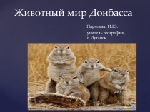 Презентация по географии на тему Животный мир Донбасса (8 класс)