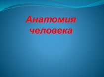 Презентация к практическим занятиям по Анатомии