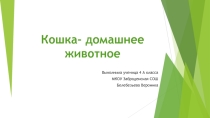 Презентация Кошка - домашнее животное