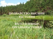 Презентация для подготовки к ГИА Вегетативные органы растений
