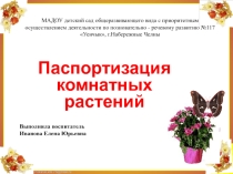 Презентация по экологическому воспитанию Цветы на подоконниках