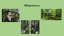 Презентация по немецкому языку: Шпревальд