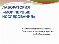 Презентация по теме Мои первые исследования