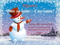 Презентация проекта Что за чудо Снеговик!