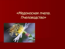 Значение пчел в сельском хозяйстве и жизни человека