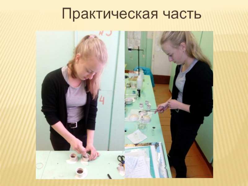 Презентация по теме Кофеин Практическая часть Практическая часть