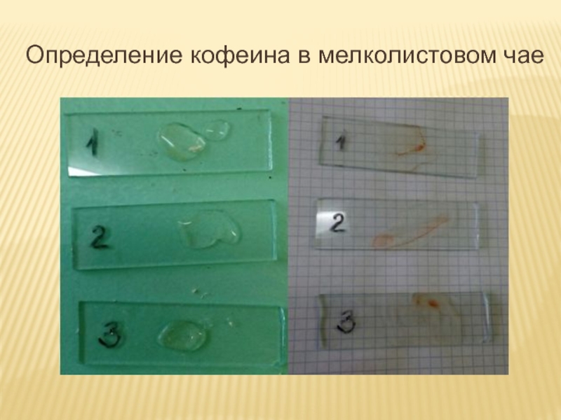 Презентация по теме Кофеин Определение кофеина в мелколистовом чае Определение кофеина в мелколистовом чае