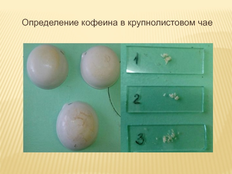 Презентация по теме Кофеин Определение кофеина в крупнолистовом чае Определение кофеина в крупнолистовом чае