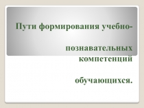 Пути формирования учебно-познавательных компетенций обучающихся.