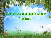 Презентация урока Охрана животных, 3 класс