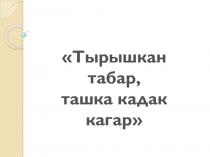 Презентация Ике үзгәрешле сызыкча тигезләмәләр системасы. Алыштырып кую ысулы (7 класс)