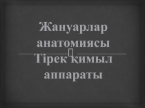 Жануарлар анатомиясы пәнінен ашық сабақ әзірлемесі