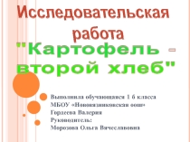 Исследовательская работа Картофель - второй хлеб