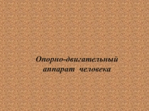 Презентация по биологии  Опорно-двигательная система человека ( 8 класс)
