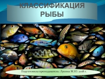 Презентация по предмету Кулинария на тему Классификация рыбы