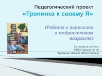 Работа с агрессией в подростковом возрасте. Презентация проекта