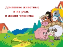 Презентация к НОД по познавательному развитию Домашние животные