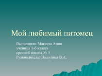 Презентация по окружающему миру