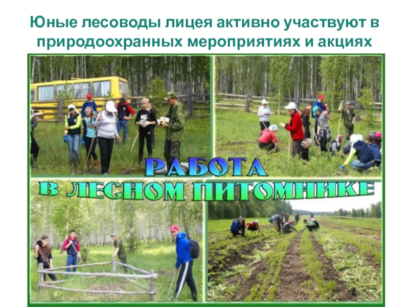 Презентация МБОУ Уразовский лицей Юные лесоводы лицея активно участвуют в природоохранных мероприятиях и акциях Юные лесоводы лицея активно участвуют в природоохранных мероприятиях и акциях