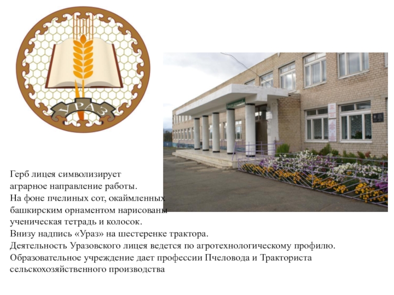 Презентация МБОУ Уразовский лицей Герб лицея символизирует аграрное направление работы. На фоне пчелиных сот, окаймленных Герб лицея символизирует аграрное направление работы. На фоне пчелиных сот, окаймленных башкирским орнаментом нарисованы