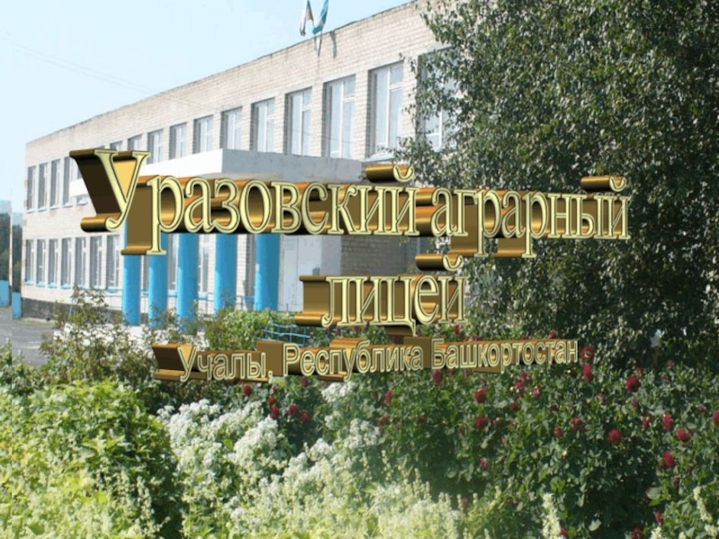Презентация на тему