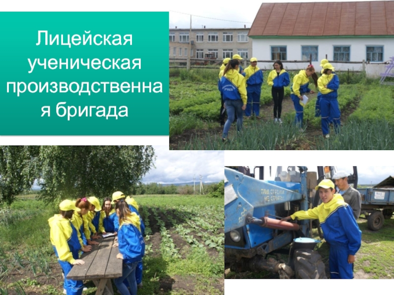 Презентация МБОУ Уразовский лицей Лицейская ученическая производственная бригада Лицейская ученическая производственная бригада