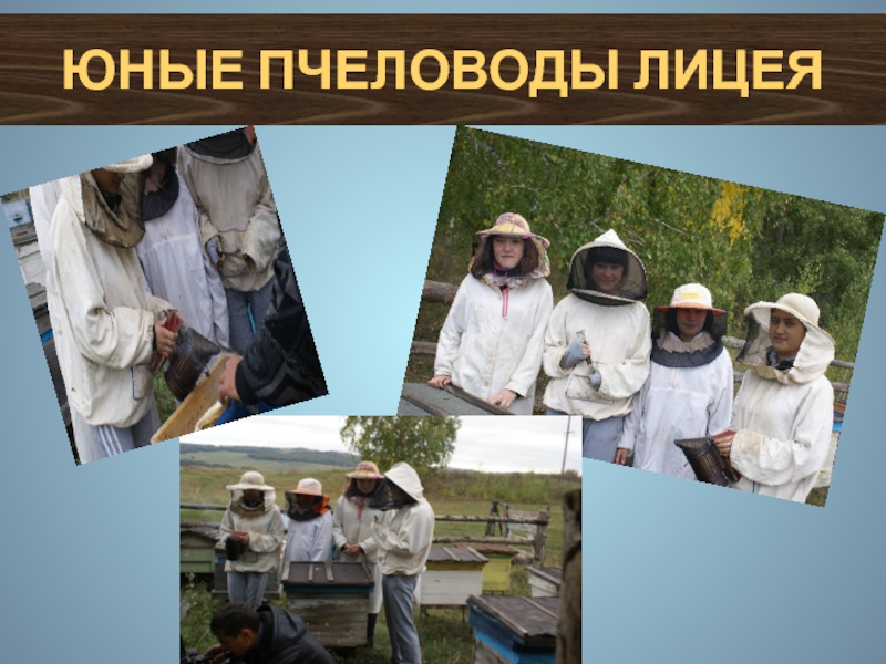 Презентация МБОУ Уразовский лицей Юные пчеловоды лицея Юные пчеловоды лицея