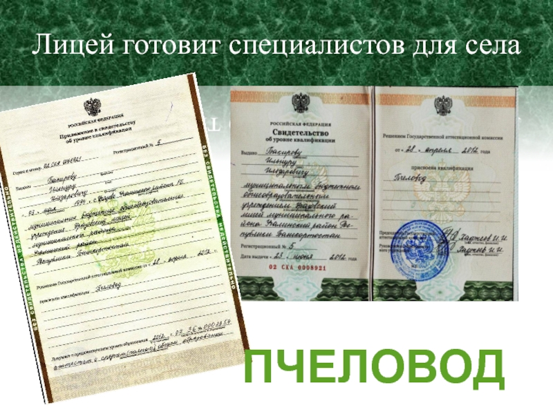 Презентация МБОУ Уразовский лицей Лицей готовит специалистов для селаПЧЕЛОВОД Лицей готовит специалистов для селаПЧЕЛОВОД