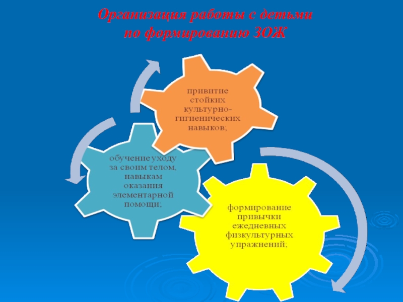 ОРГАНИЗАЦИЯ ФИЗКУЛЬТУРНО - ОЗДОРОВИТЕЛЬНОЙ РАБОТЫ С ДОШКОЛЬНИКАМИ (опыт работы) Организация работы с детьми по формированию ЗОЖ Организация работы с детьми по формированию ЗОЖ