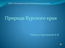 Презентация к классному часу Времена года