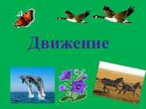 Презентация по биологии на тему: Движение - это жизнь.