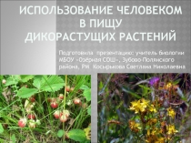 Презентация внеклассного мероприятия по биологии Использование человеком в пищу дикорастущих растений (7-8 классы)