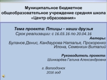 Презентация проекта по птицам