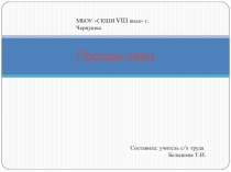 Презентация по сельскохозяйственному труду на тему Породы овец (6 класс)