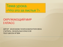 Конспект урока по окружающему миру, презентация Что это за листья?2