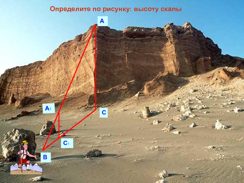 Презентация к уроку Подобие. Геометрия 9 класс. Определите по рисунку: высоту скалыАСВА1С1 Определите по рисунку: высоту скалыАСВА1С1