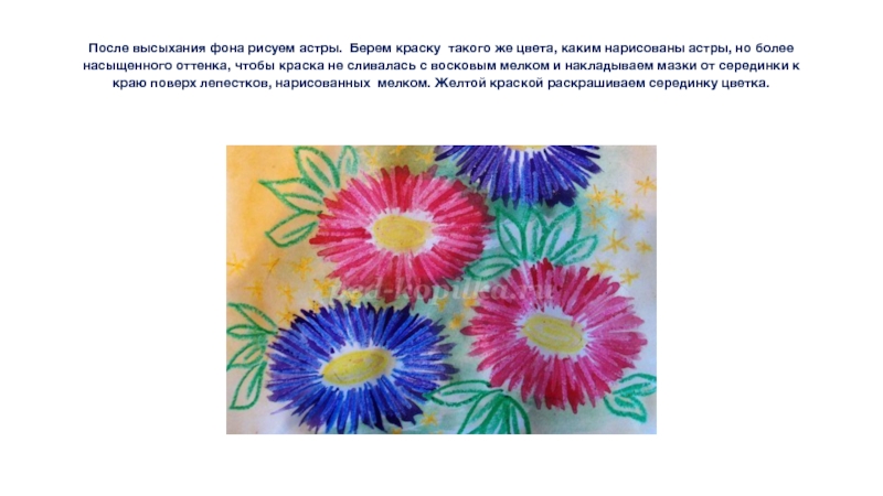 Презентация по ИЗО Астры 3 класс После высыхания фона рисуем астры. Берем краску такого же цвета, каким нарисованы астры, После высыхания фона рисуем астры. Берем краску такого же цвета, каким нарисованы астры, но более насыщенного оттенка, чтобы краска