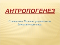 Презентация к уроку биологии Антропогенез (11 класс)