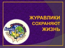 Презентация по теме толерантность Журавлики сохраняют жизнь
