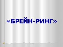 Презентация по русскому языку
