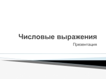 Презентация для учителя по теме: Числовые выражения. Алгебра, 7 класс
