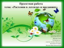 Проектная работа тема: Растения в легендах и преданиях