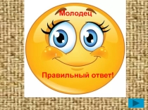 Презентация Электронный тест по столярному делу. Строгание древесины.