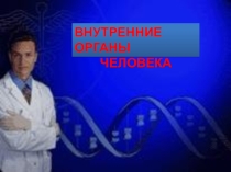 Презентация по биологии на тему Внутренние органы человека