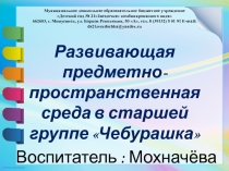 Развивающая предметно-пространственная среда в старшей группе