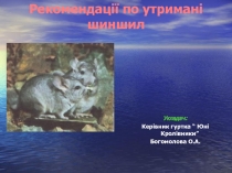 Презентація на тему: Рекомендації по утримані шиншил
