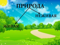 Презентация по окружающему миру на тему Весенние месяцы УМК ПЕРСПЕКТИВА
