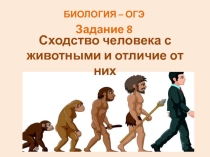 Презентация подготовка к ОГЭ Эволюция человека